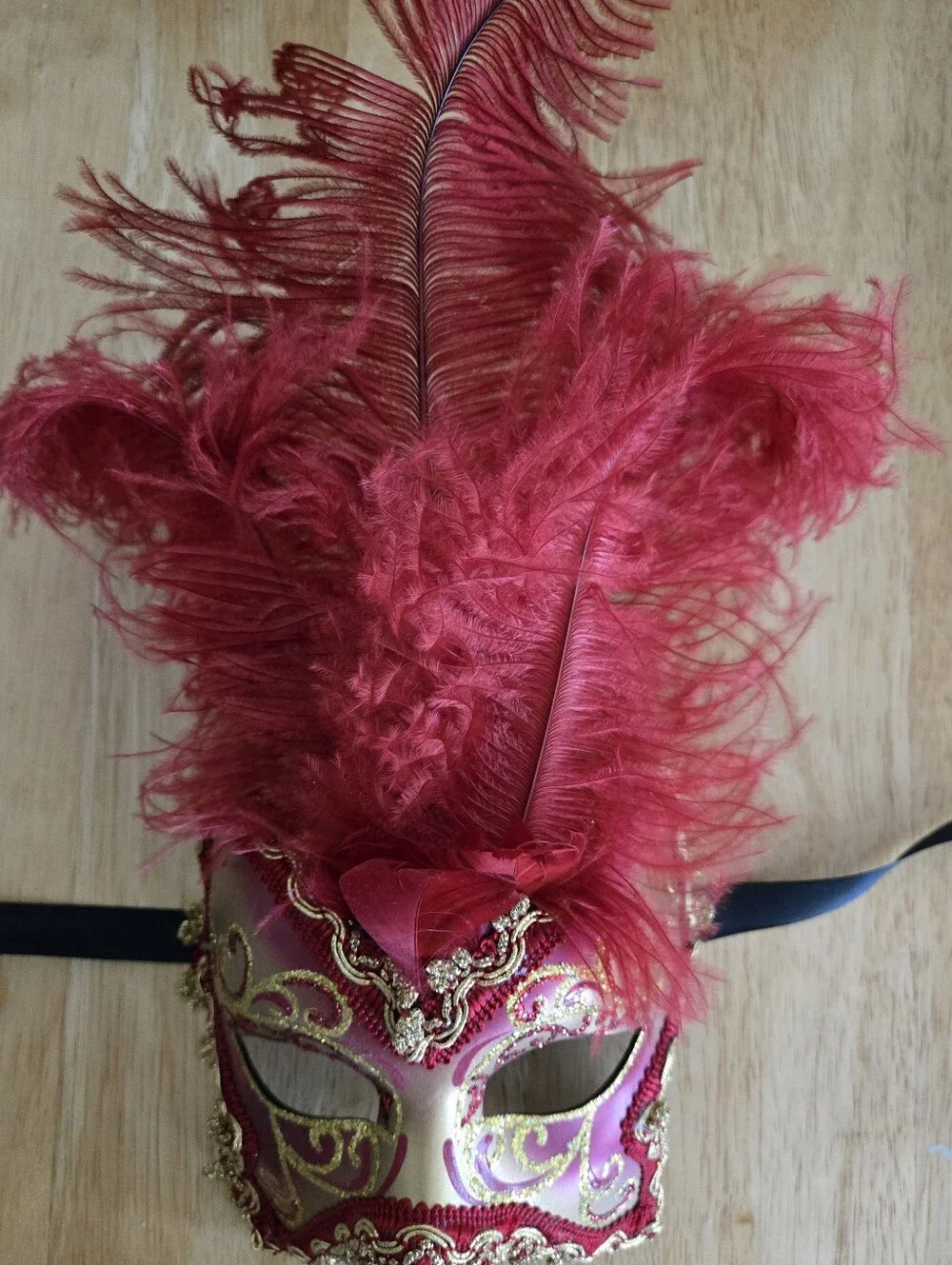 Venetian Red Feather Mask